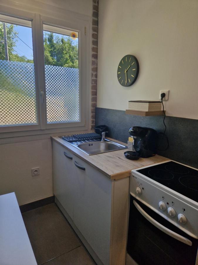 Appartement Independant Dans Maison Avec Jardinet, Au Calme Sérézin-du-Rhône Dış mekan fotoğraf
