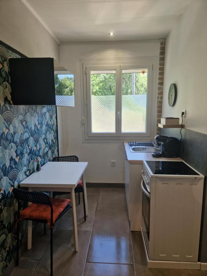 Appartement Independant Dans Maison Avec Jardinet, Au Calme Sérézin-du-Rhône Dış mekan fotoğraf